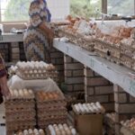 Arts & Vie - ouzbèkes - Ouzbékistan