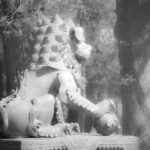 Arts & Vie - Temple Lamas & Confucius - Chine