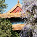 Arts & Vie - Temple Lamas & Confucius - Chine