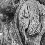Arts & Vie - Temple Lamas & Confucius - Chine