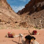 Arts & Vie - Wadi Rum - Jordanie