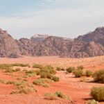 Arts & Vie - Wadi Rum - Jordanie
