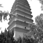 Arts & Vie - Xi'An - Chine