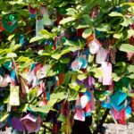 Arts & Vie - Xi'An - Chine