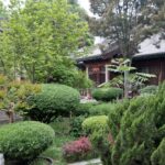 Arts & Vie - Xi'An - Chine