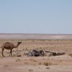 Arts & Vie - Forteresses du désert - Ouzbékistan