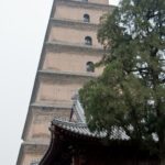 Arts & Vie - Xi'An - Chine