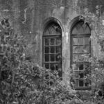 Arts & Vie -Château de Birr - Irlande