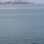 Arts & Vie - Salvador de Bahia - Brésil