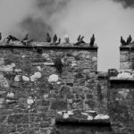 Arts & Vie -Cahir - Irlande