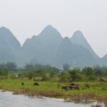 Arts & Vie - Rivière Li - Chine