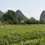 Arts & Vie - Guilin - Chine