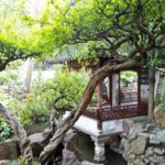 Arts & Vie - Shanghai - Chine