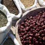 Arts & Vie - Chakhrizab - Ouzbékistan