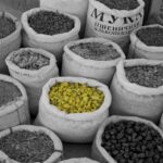 Arts & Vie - Ouzbékistan