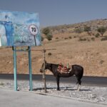 Arts & Vie - Chakhrizab - Ouzbékistan