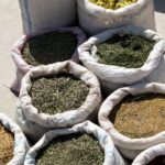 Arts & Vie - Chakhrizab - Ouzbékistan