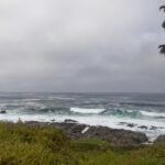 Arts & Vie - Isla Negra- Chili