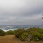 Arts & Vie - Isla Negra- Chili
