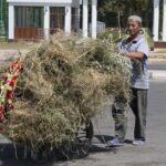 Arts & Vie - Chakhrizab - Ouzbékistan