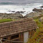 Arts & Vie - Isla Negra- Chili