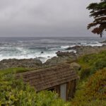 Arts & Vie - Isla Negra- Chili