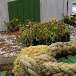 Arts & Vie - Isla Negra- Chili