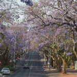 Arts & Vie - Johannesbourg & Prétoria - Afrique du sud