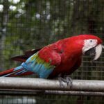 Arts & Vie - Iguazu - Brésil