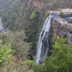 Arts & Vie - Transvaal - Afrique du sud