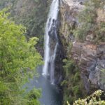 Arts & Vie - Transvaal - Afrique du sud