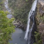 Arts & Vie - Transvaal - Afrique du sud