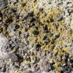 Arts & Vie -Vulcano - Sicile