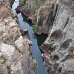 Arts & Vie - Transvaal - Afrique du sud