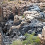 Arts & Vie - Transvaal - Afrique du sud