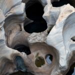 Arts & Vie - Transvaal - Afrique du sud