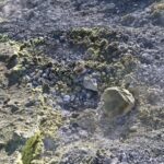 Arts & Vie -Vulcano - Sicile