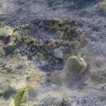 Arts & Vie -Vulcano - Sicile