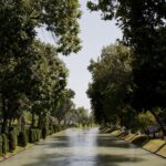 Arts & Vie - Tachkent - Ouzbékistan