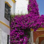 Séville - Andalousie - Espagne