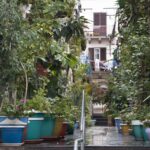 Arts & Vie -Lipari - Sicile