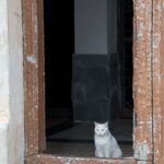 Arts & Vie -Stromboli - Sicile