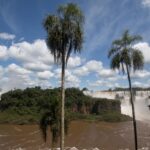 Arts & Vie - Iguazu - Brésil