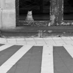 Arts & Vie -Stromboli - Sicile