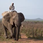 Arts & Vie - Kruger - Afrique du sud