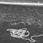 Arts & Vie -Stromboli - Sicile