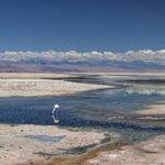 Arts & Vie - Salar d'Atacama - Chili