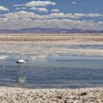 Arts & Vie - Salar d'Atacama - Chili