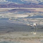 Arts & Vie - Salar d'Atacama - Chili