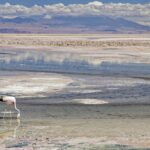 Arts & Vie - Salar d'Atacama - Chili